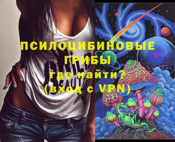 тгк Арсеньев
