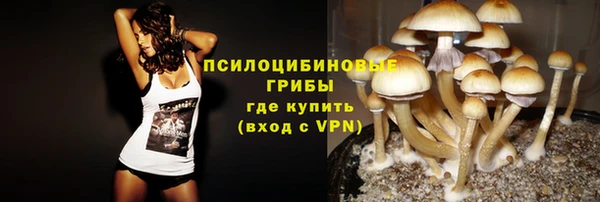 Альфа ПВП Аркадак