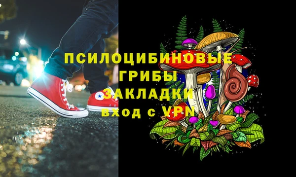 тгк Арсеньев