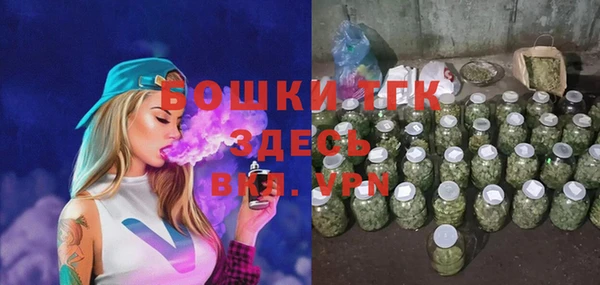Альфа ПВП Аркадак